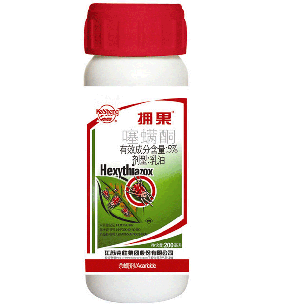 擁果